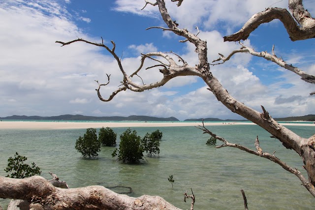 Whitehaven Beach