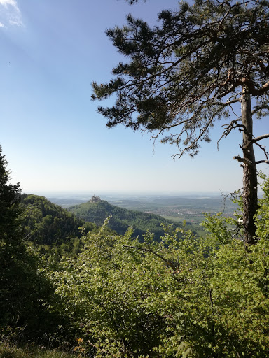 Burg Tailfingen - Thumbnail