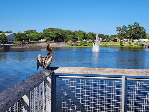 Solary Park - Visual