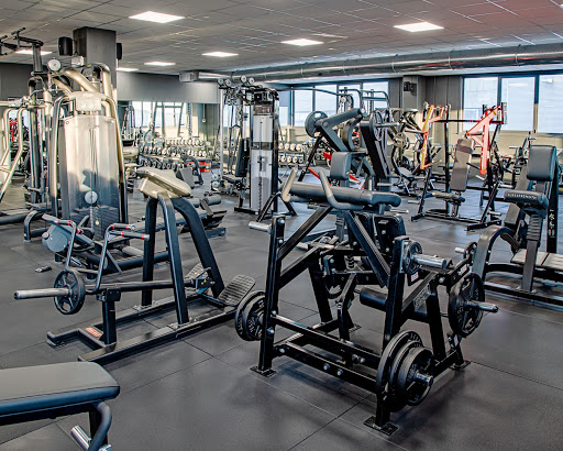 Wellness SRL di Gianni Criscuolo | Attrezzi da palestra Ricondizionati Gallery - Italy