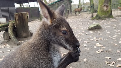 Photos of Hodonin Zoo
