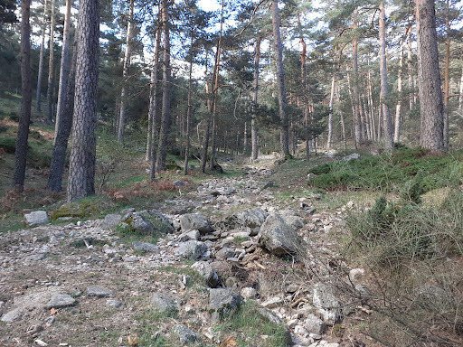 Arroyo Secal - Visual
