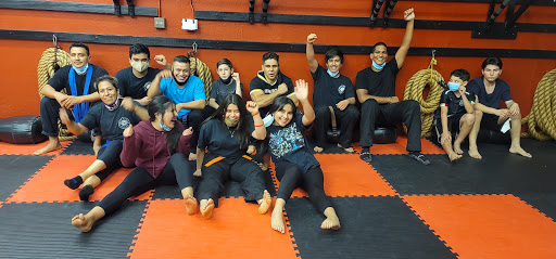 Bok Fu Dynasty, Kick Boxing, and Brazilian Jiu-jitsu bjj - Thumbnail