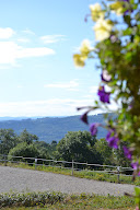 HARAS DES ALLEES à Saint-Just-en-Chevalet