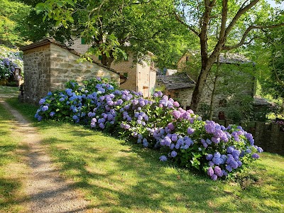 Borgo di Tresana