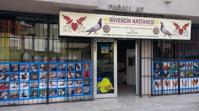 Güvercin hastanesi ( kanatlı hayvan yem ekipman ve ilaçları)