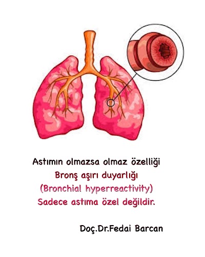 Doç Dr Fedai Barcan Astım Allerji Merkezi