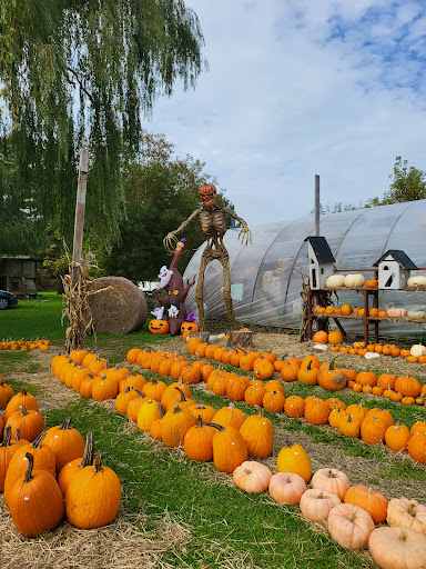 Bill & Gerry Kydd's Farm Market - Thumbnail