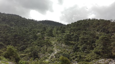 Photos of Parroquia de San Sebasti&aacute;n Alcomunga