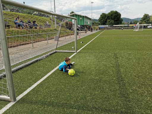 Sports Field Reil - Thumbnail