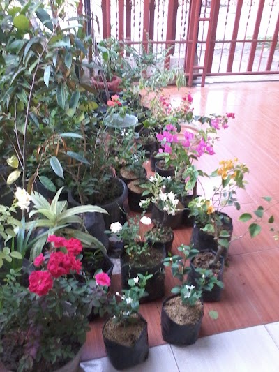 Photos of Florist Mini