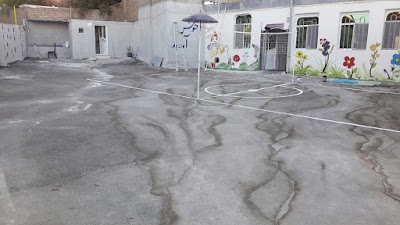 Photos of Shamim private elementary school science