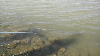 Photos of Fernbank Park
