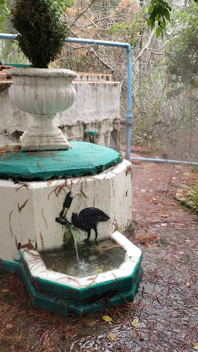 Teléfono de Termas de Panimávida