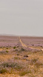 Photo n°17 de ORARUNA - Voyages & Bien-Etre à Onet-le-Château (Programme de bien-être)