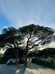 Photo n°19 de PICART MOTO TRANSPORT DÉPANNAGE à Mouy (Transporteur de véhicules)