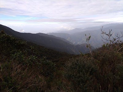 Photos of Alto El Tigre