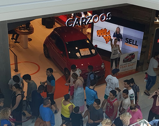 Carzoos - Visual