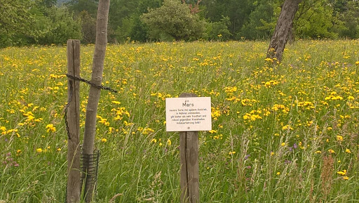 Nussbaum-Lehrpfad