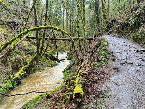 Macleay Park - Visual
