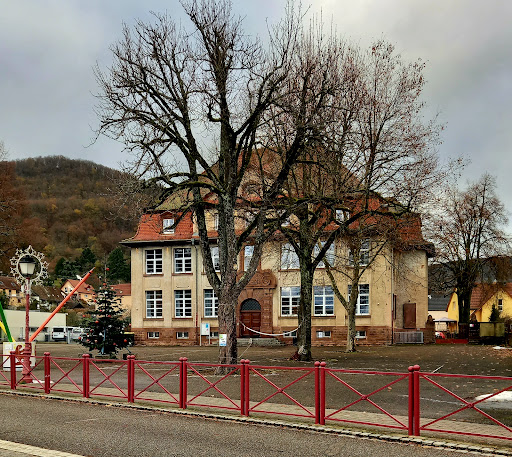 Primary School Koechlin - Thumbnail