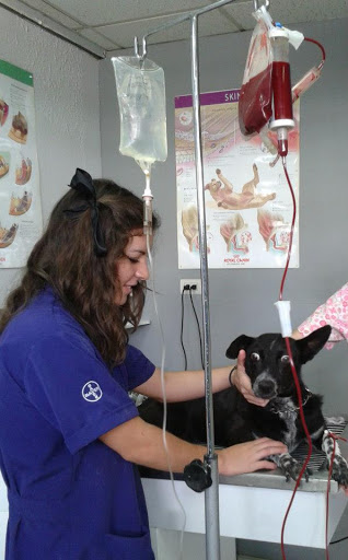 Alpha Clínica Veterinaria