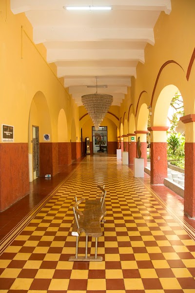 university