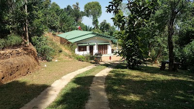 Photos of Cerulean Bungalow
