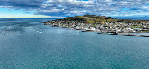 Bluff Marina - Thumbnail