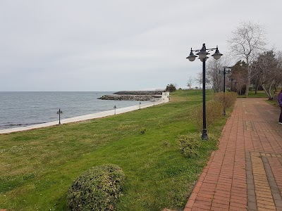 Photos of K Tourism and Hospitality Myon