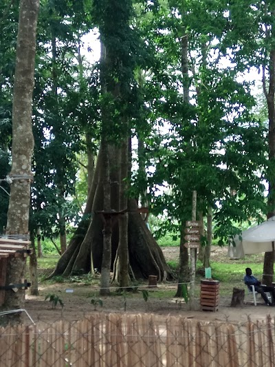 Photos of Parc M'ploussou&eacute;
