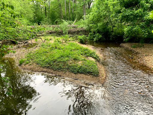 Sally Ormsby Park - Visual
