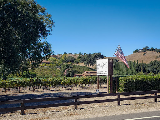 Santa Barbara Wine Country Cycling Tours - Thumbnail