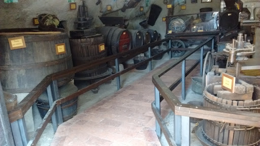 S. Il M. Giovanni XXIII,Brusicco