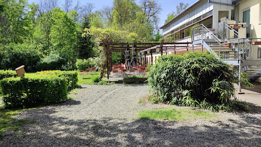 Donau Camping - Visual