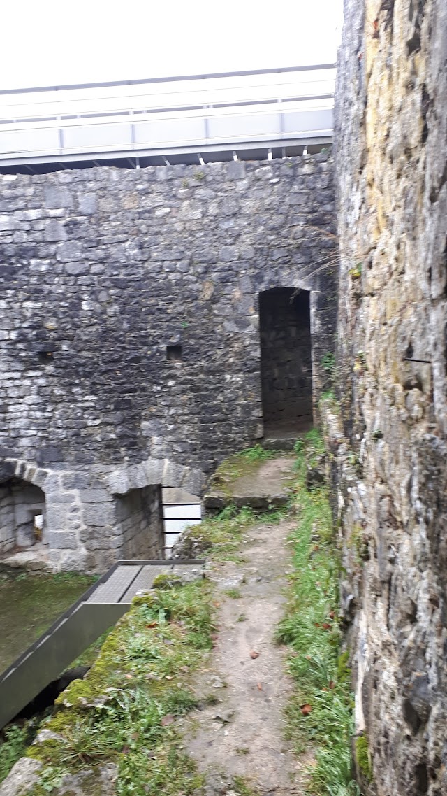 Château fort de Crèvecœur
