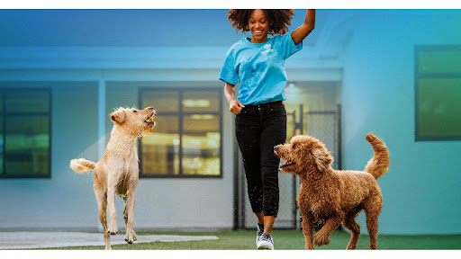 Pet Paradise Charlottesville