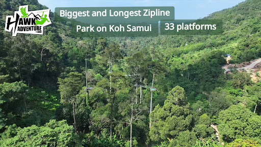 Hawk Adventure Zipline Park Koh Samui
