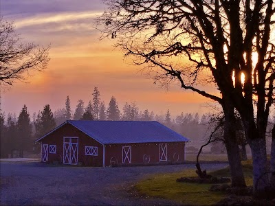 Grants Pass KOA Journey