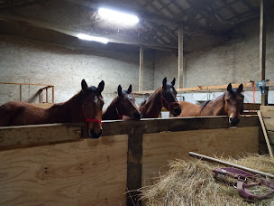 Photo n°8 de La ferme de Hendrik à Saint-Junien (Piscine extérieure)