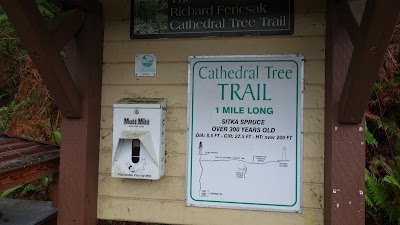 Cathedral Tree