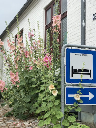 Opinii despre ibsens gaard în Korsør - Natklub