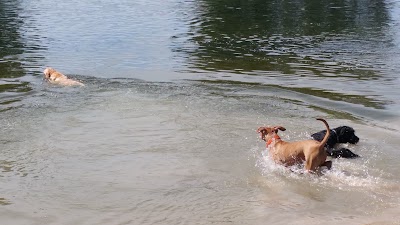 Photos of Viking County Park
