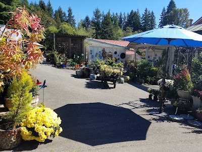 Photos of New Rose Cafe