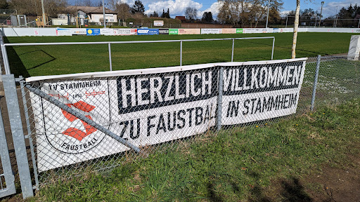 Stammheimer Volksbank Stadion Gallery - Germany