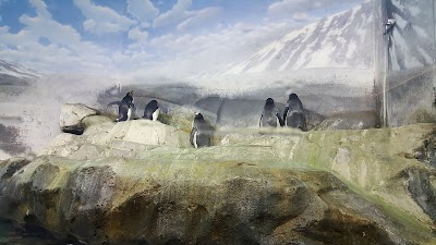 Photos of Tennessee Aquarium