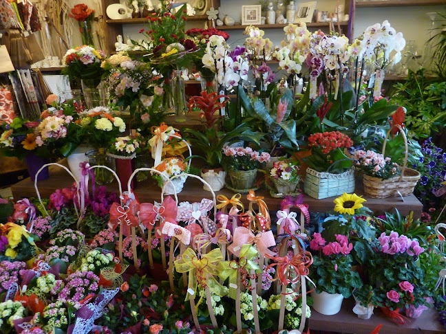 Kwiaciarnia Magnolia - Kwiaciarnia