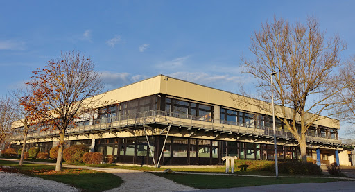 Bibrisschule - Visual