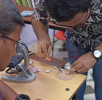Upadhyay Institute - IIT JEE, NEET, WBJEE & 11-12 Science