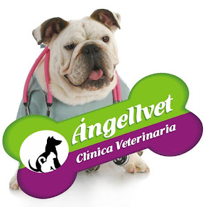 Clínica Veterinaria Angellvet 2